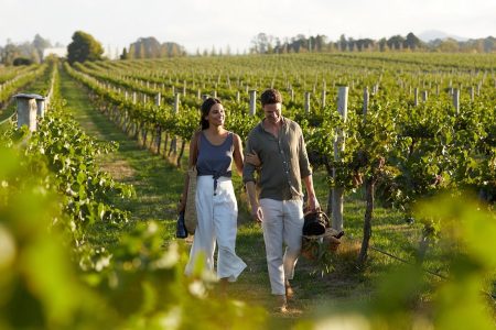 private wine tours hunter valley
