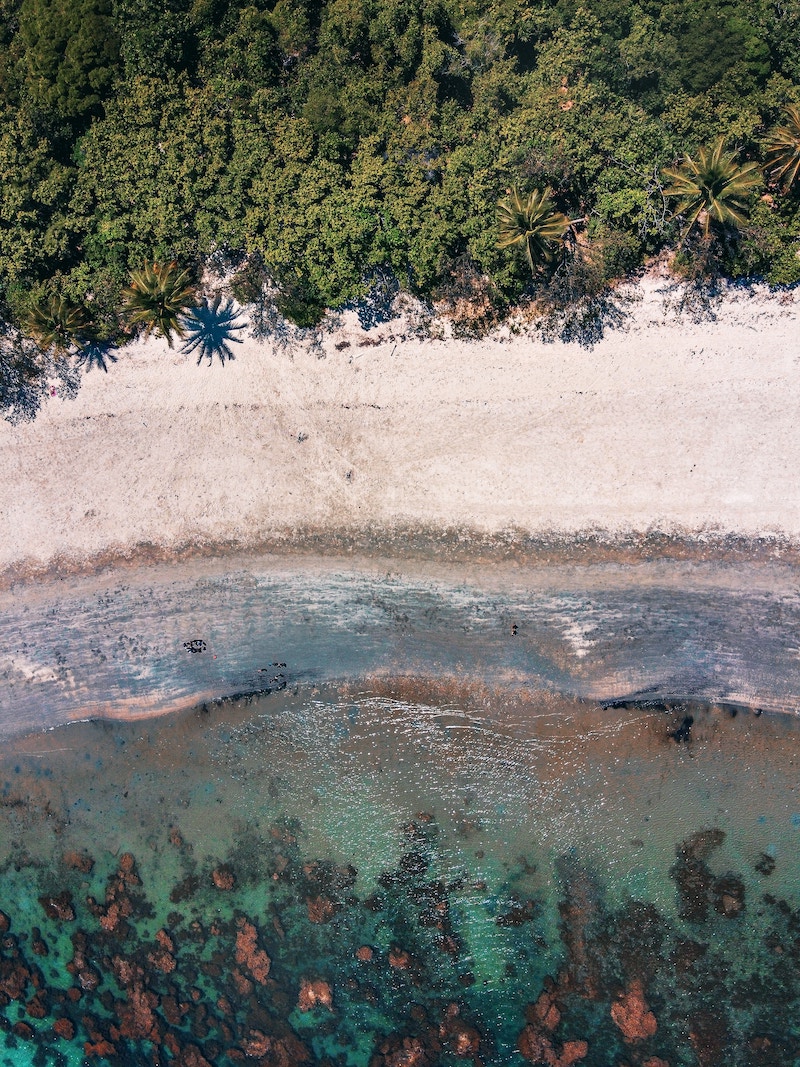 private tours from cairns